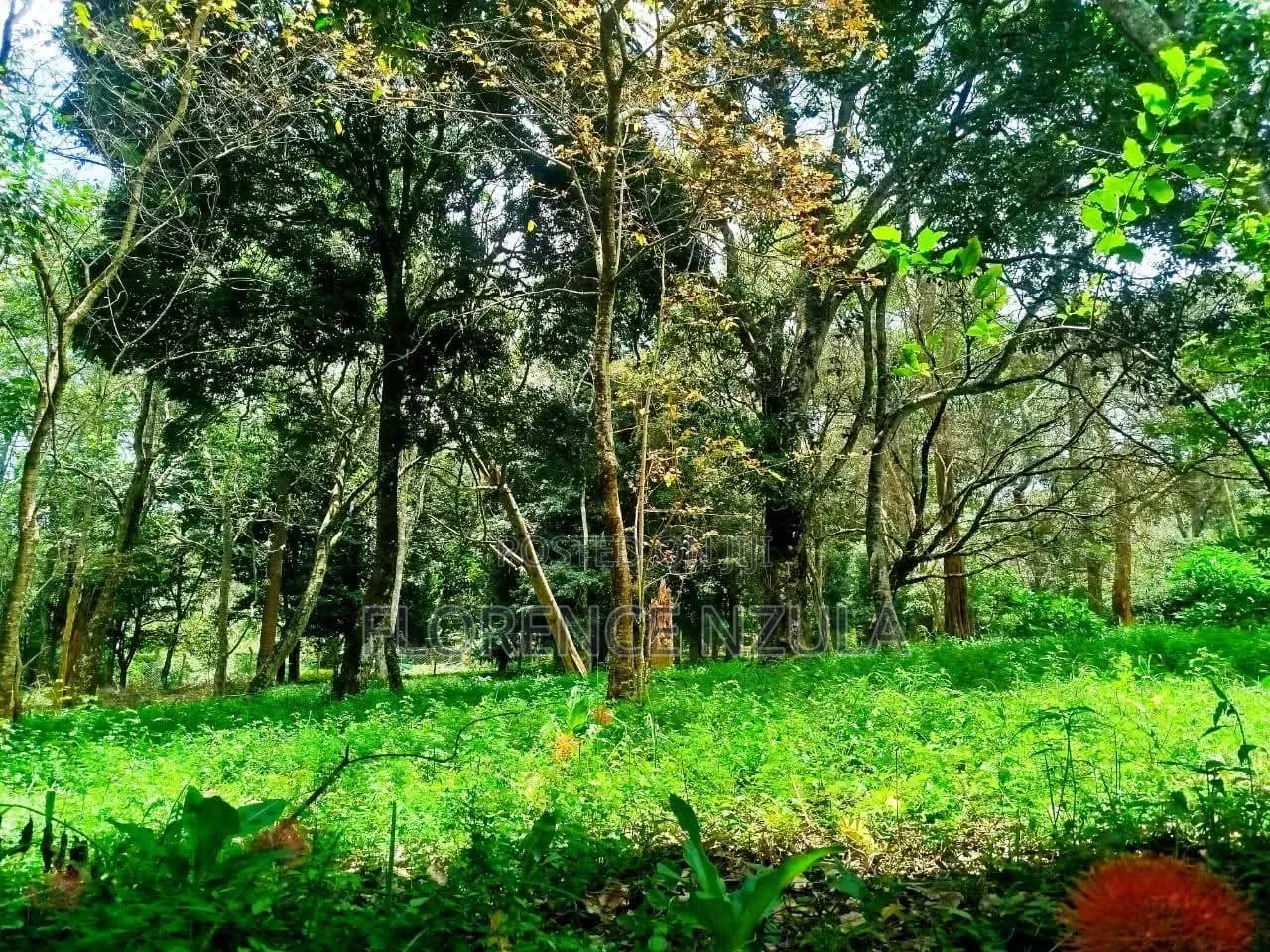 Land for Sale in Karen Muteero in Karen C