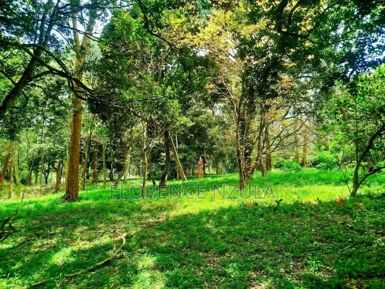 Land for Sale in Karen Muteero in Karen C