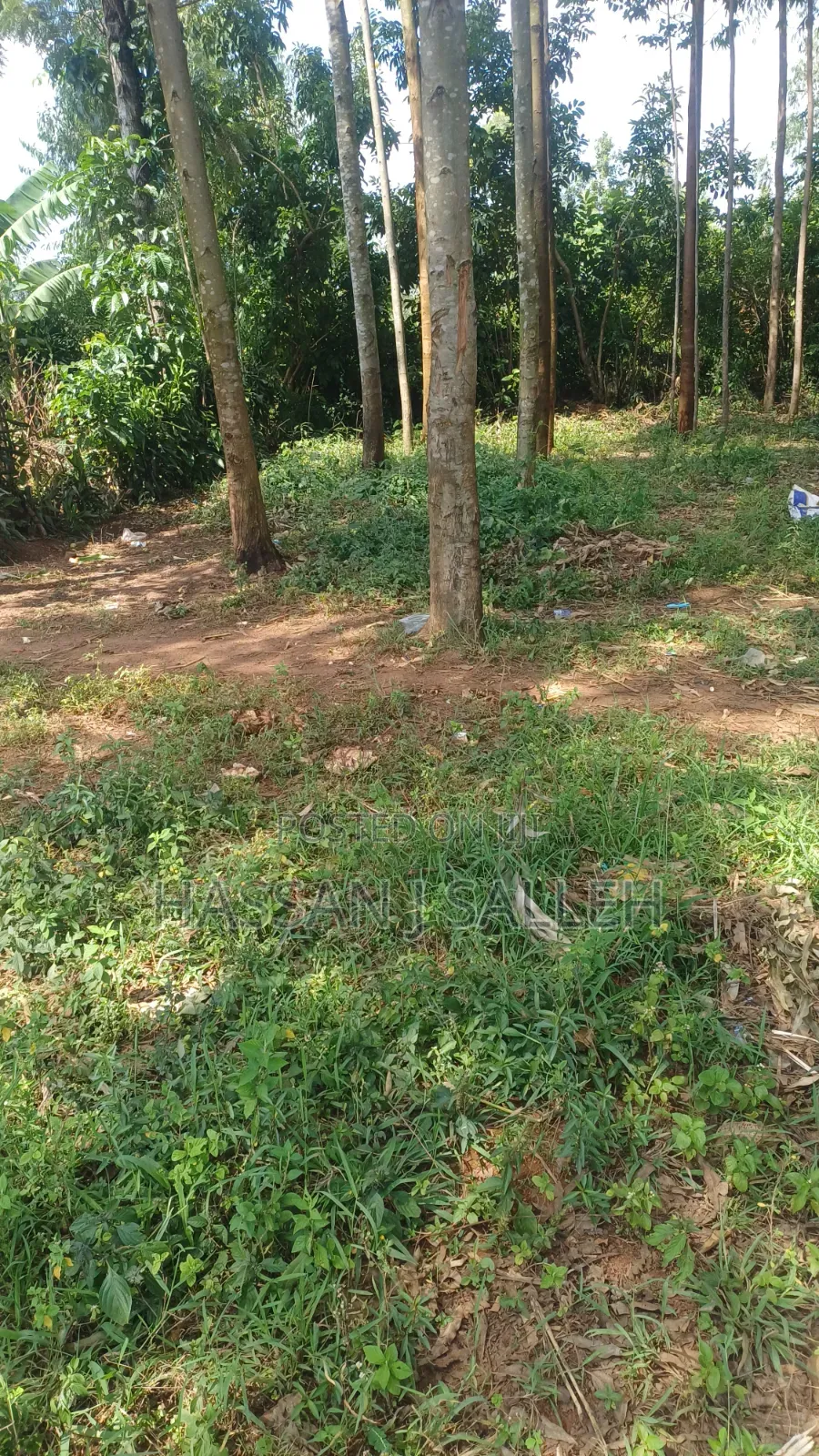 3acres Matungu on Sale. in Mayoni