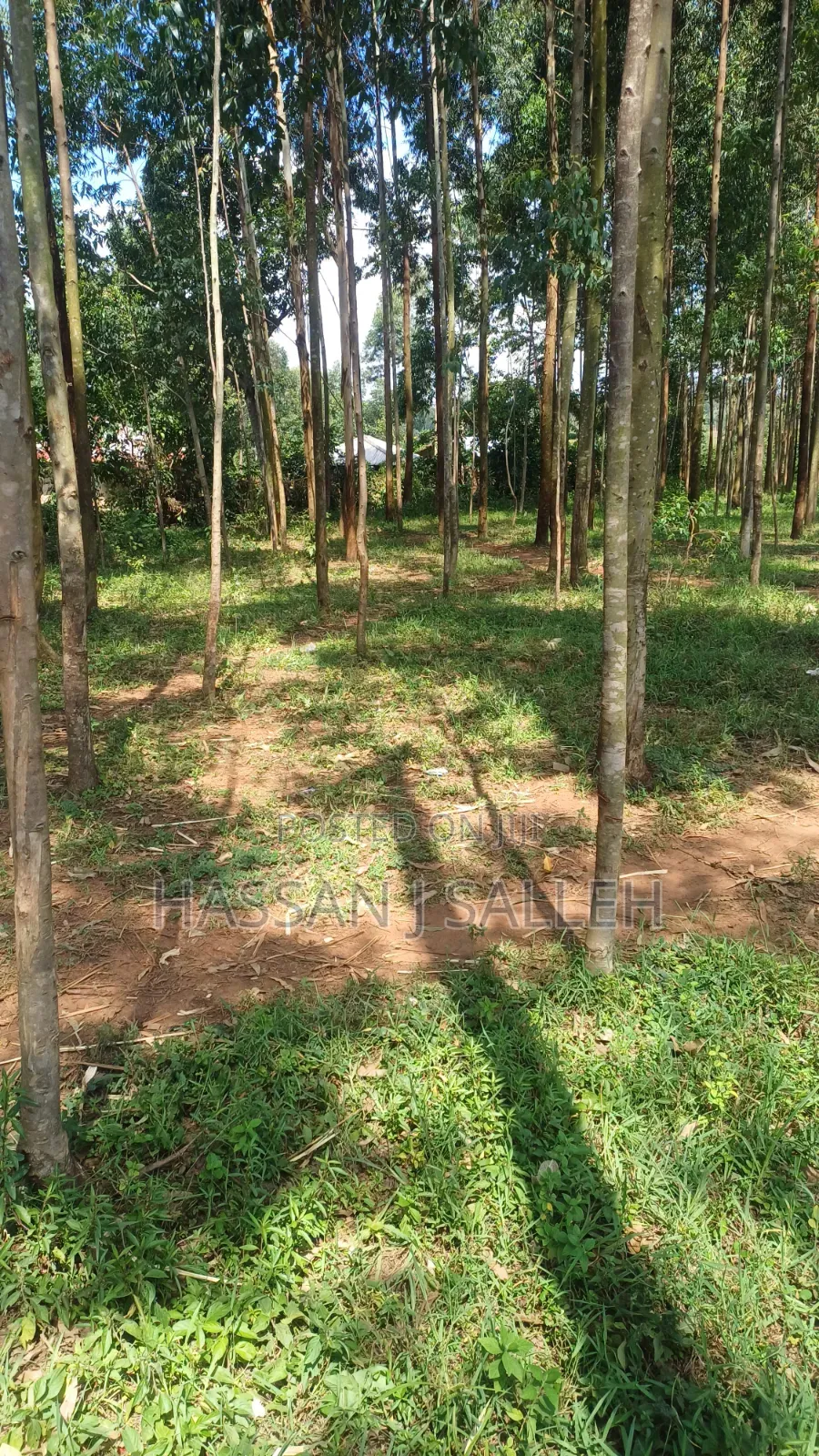 3acres Matungu on Sale. in Mayoni