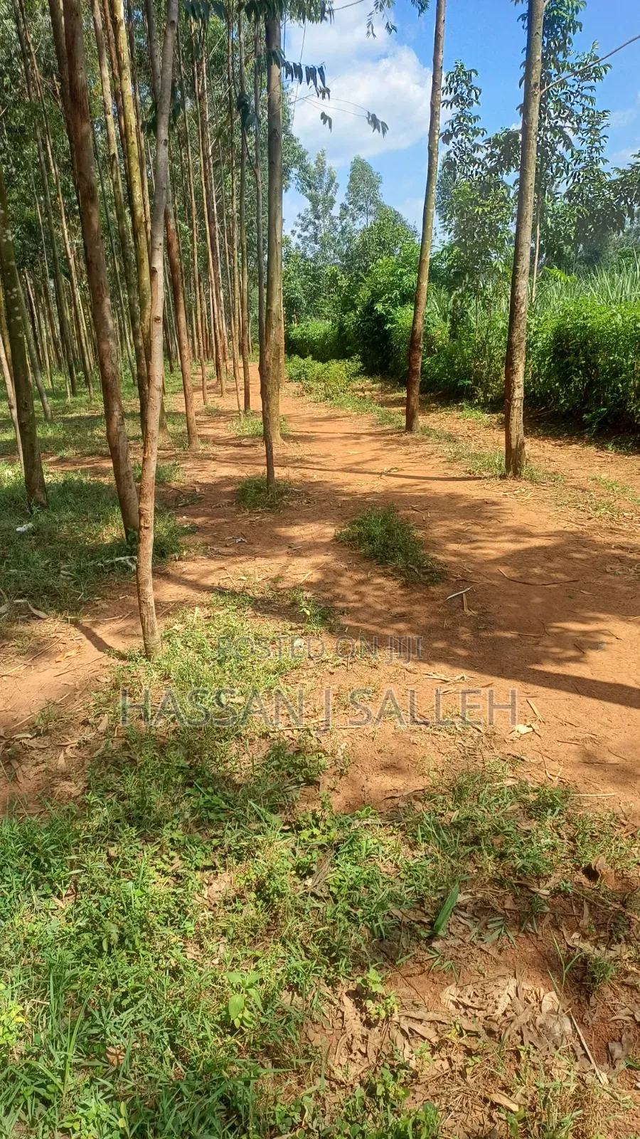 3acres Matungu on Sale. in Mayoni