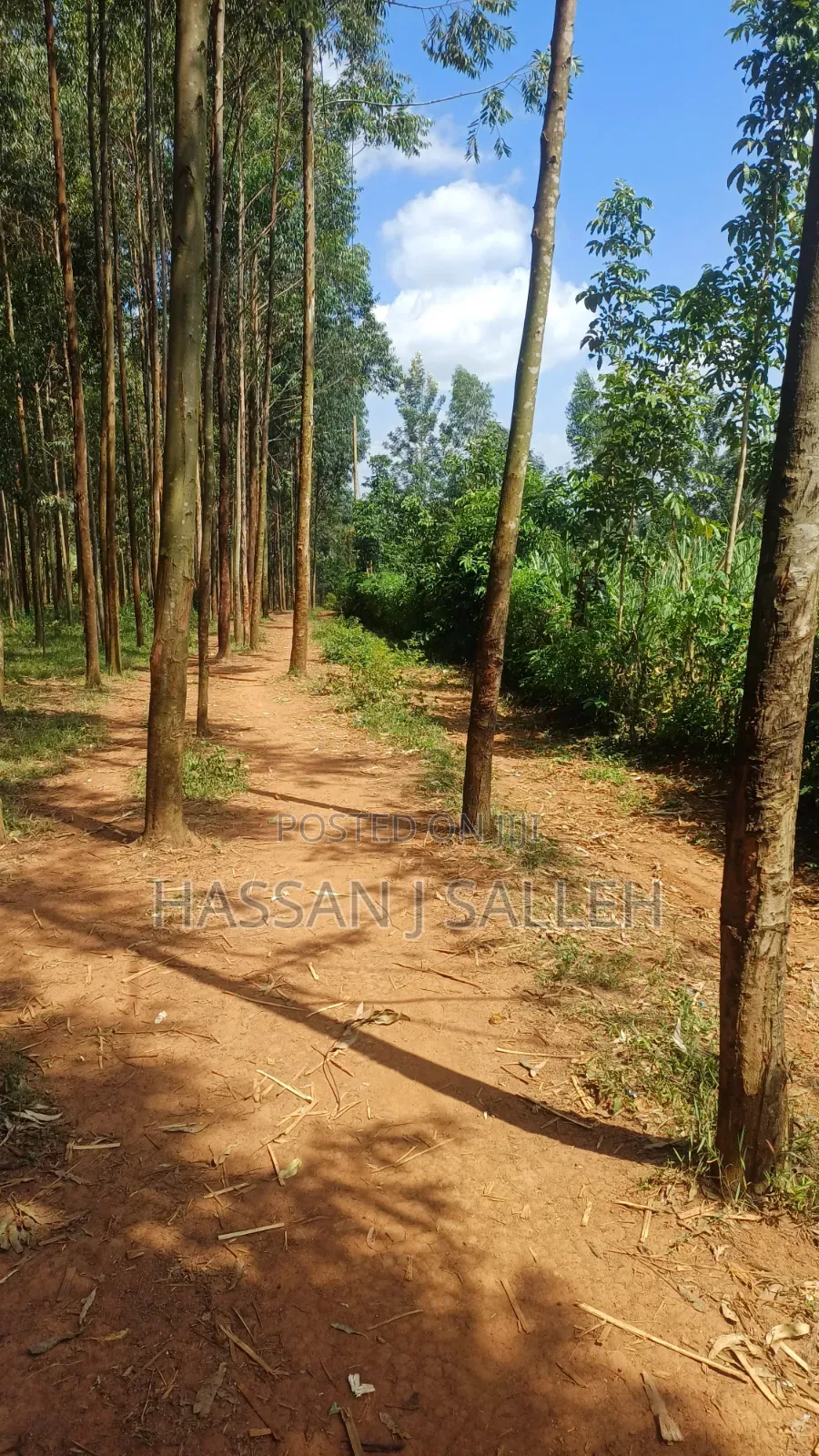 3acres Matungu on Sale. in Mayoni
