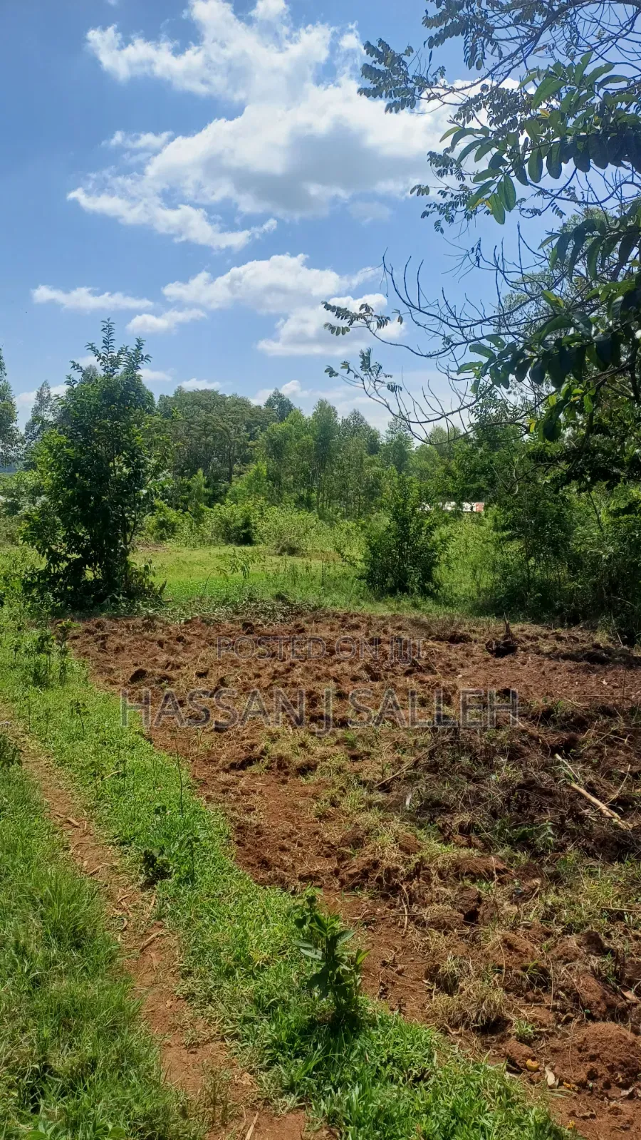 3acre Matungu on Sale. in Mayoni