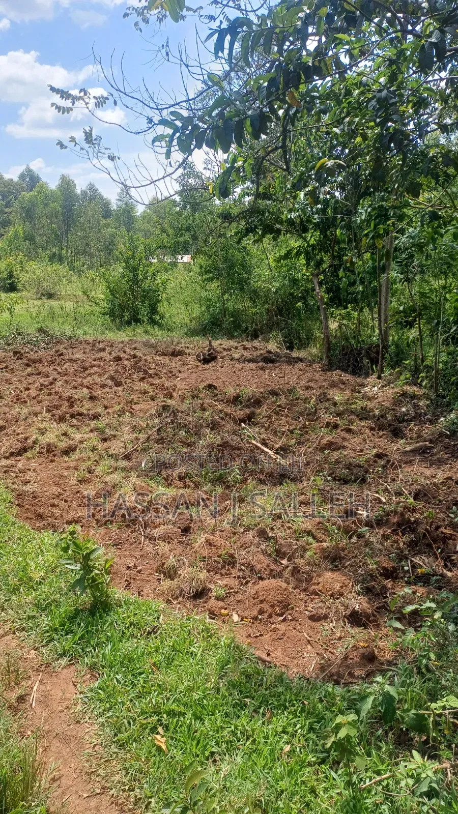 3acre Matungu on Sale. in Mayoni