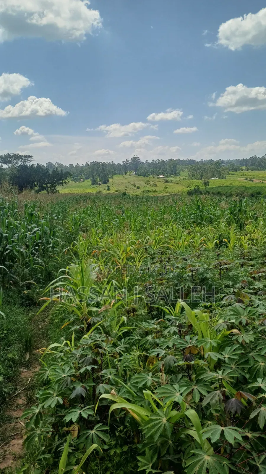 3acre Matungu on Sale. in Mayoni