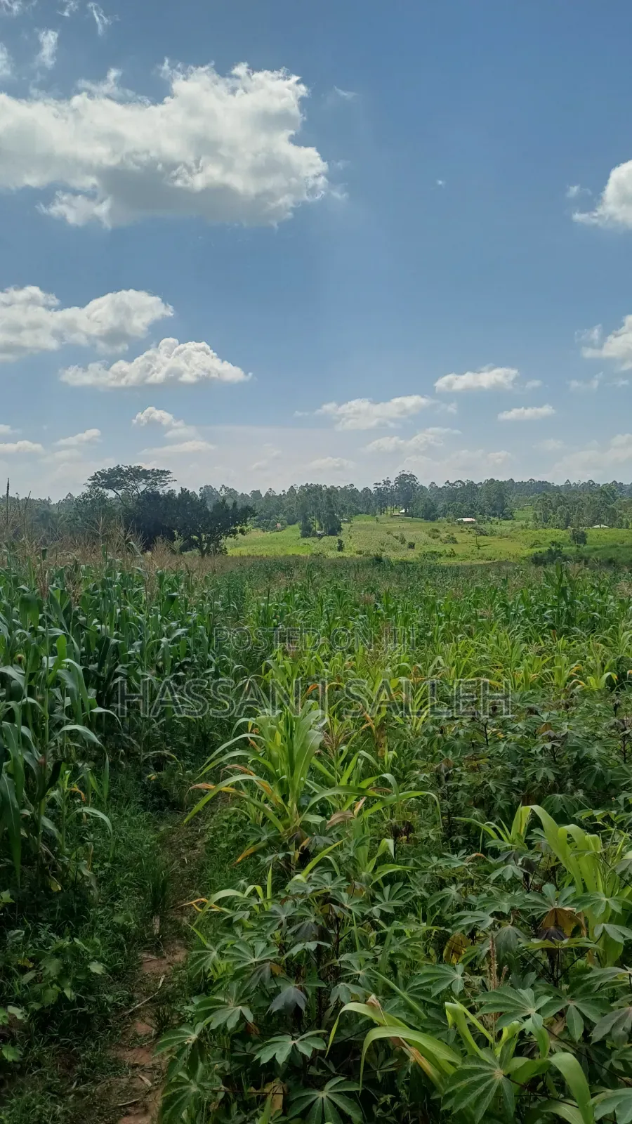 3acre Matungu on Sale. in Mayoni