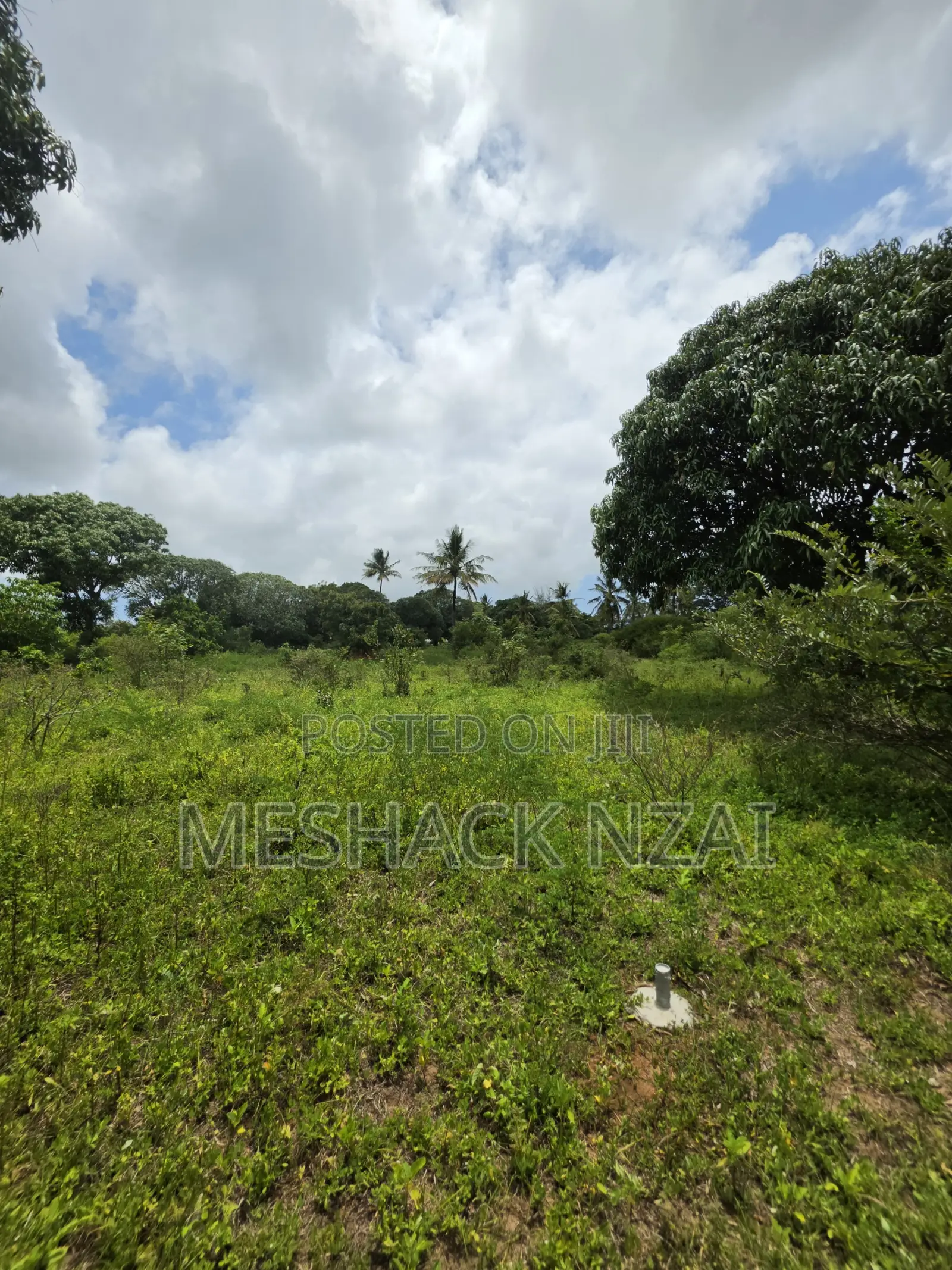Malindi Kizingo ; 4 Acres. in Gede