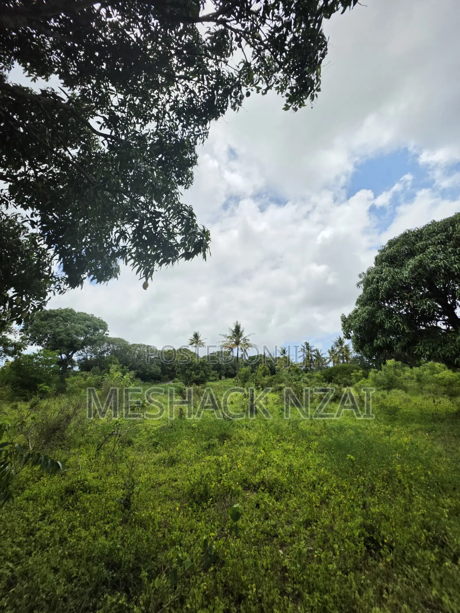 Malindi Kizingo ; 4 Acres. in Gede