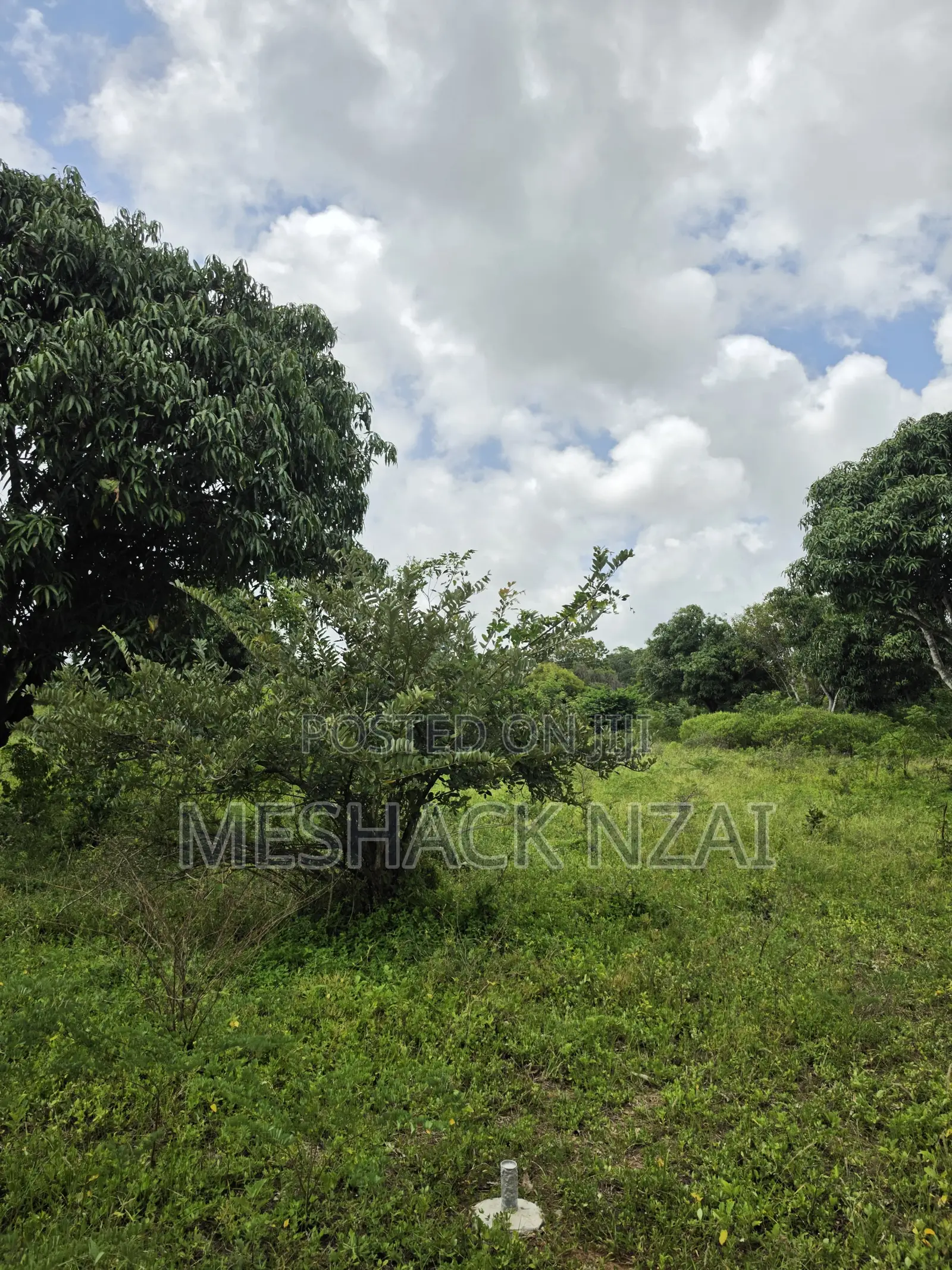 Malindi Kizingo ; 4 Acres. in Gede