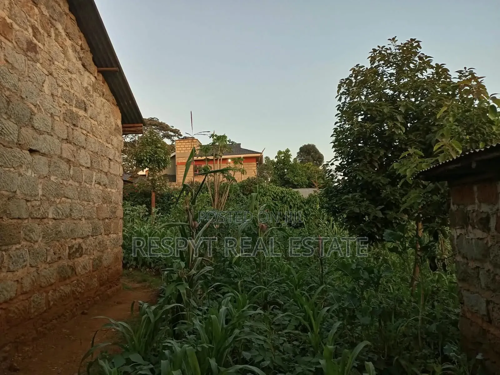 1/4 Acre Property in Kamangu Town 150mtrs From Tarmac in Karai