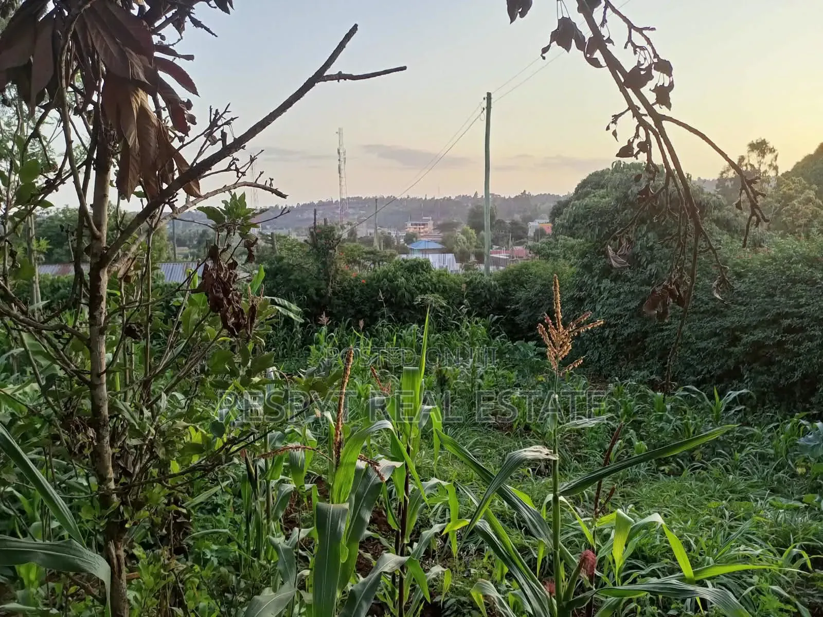 1/4 Acre Property in Kamangu Town 150mtrs From Tarmac in Karai