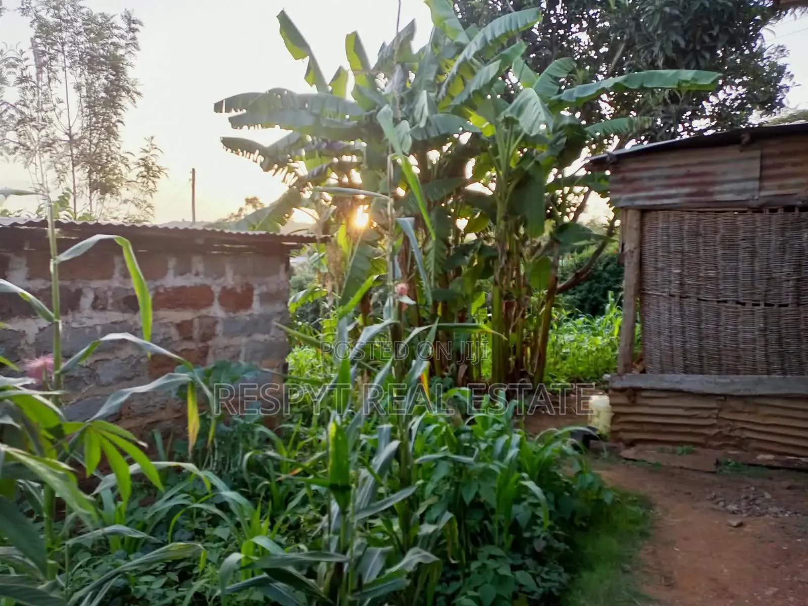 1/4 Acre Property in Kamangu Town 150mtrs From Tarmac in Karai