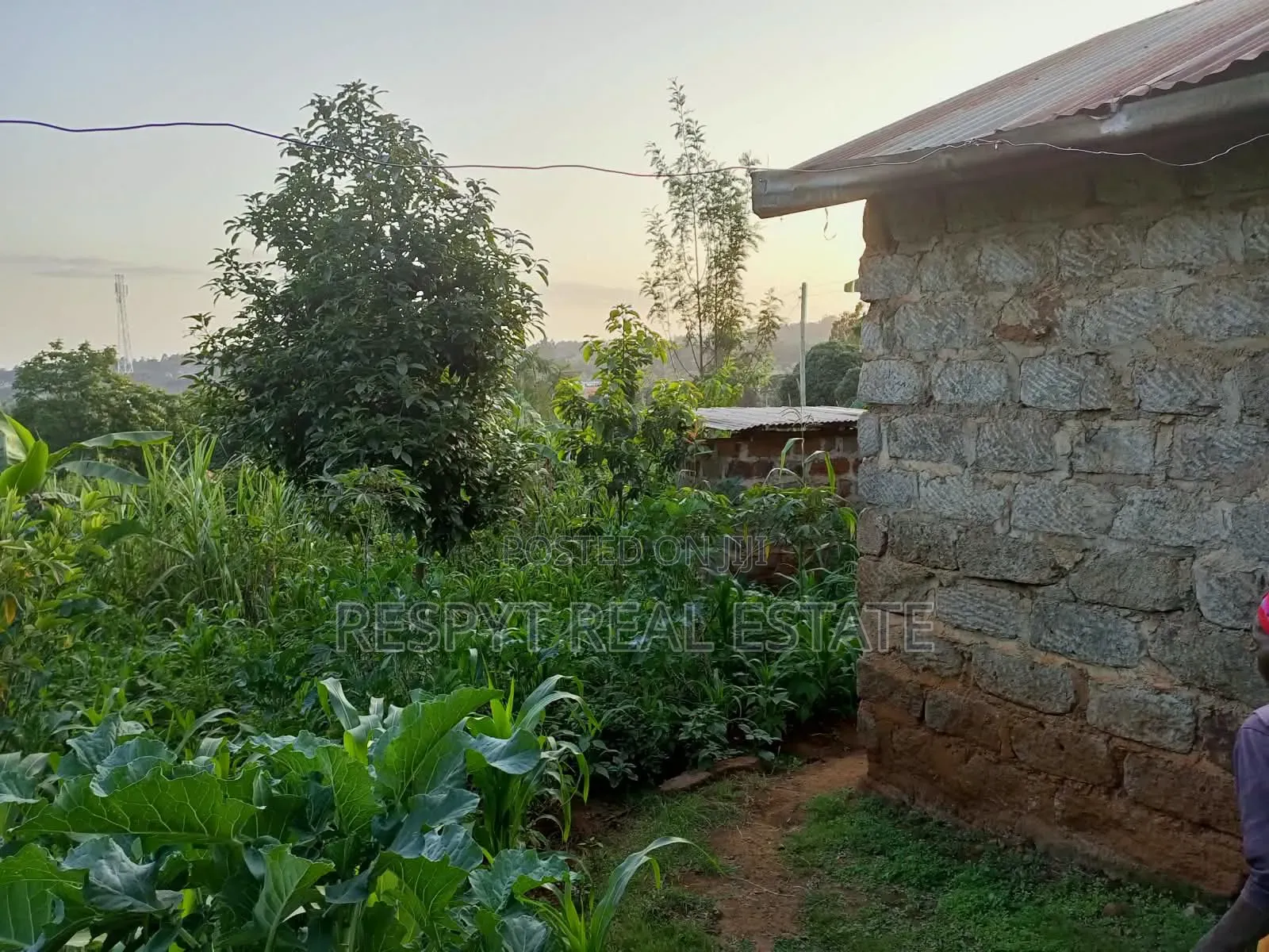 1/4 Acre Property in Kamangu Town 150mtrs From Tarmac in Karai