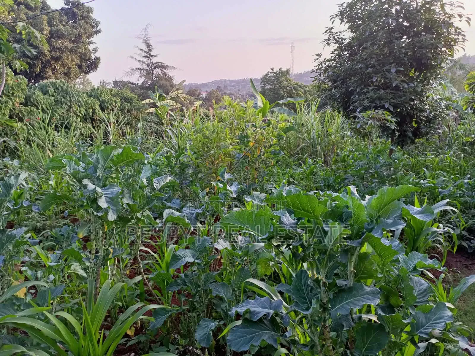 1/4 Acre Property in Kamangu Town 150mtrs From Tarmac in Karai