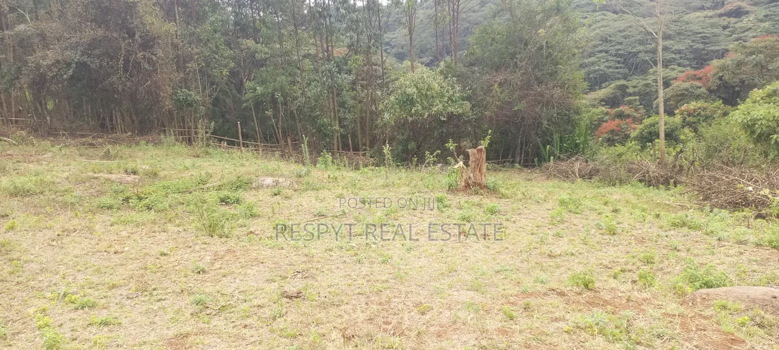 1/8 and 1/4 Plots in Kerarapon, Karen Sold Together. in Kerarapon