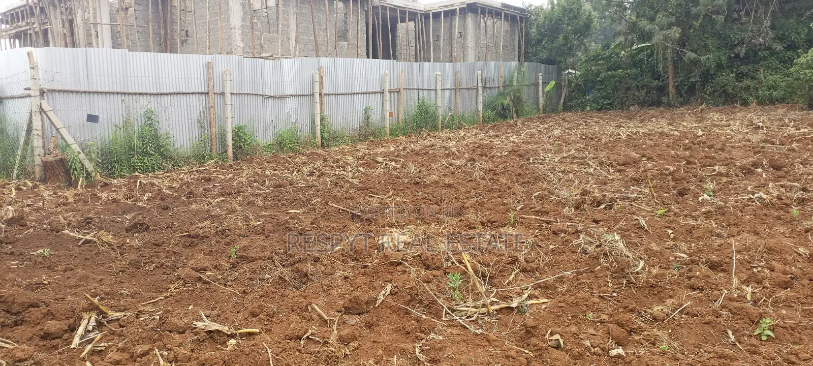 1/8 and 1/4 Plots in Kerarapon, Karen Sold Together. in Kerarapon