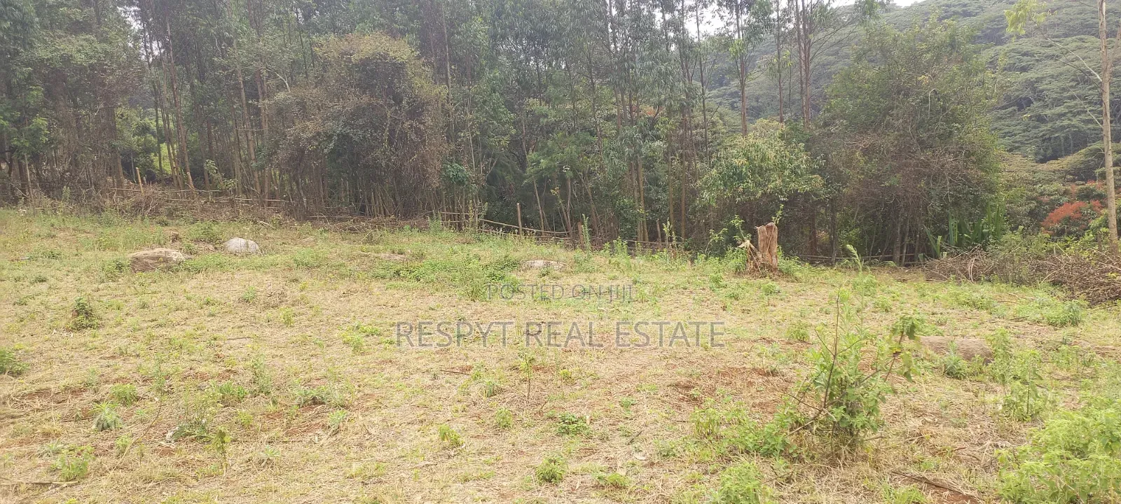 1/8 and 1/4 Plots in Kerarapon, Karen Sold Together. in Kerarapon