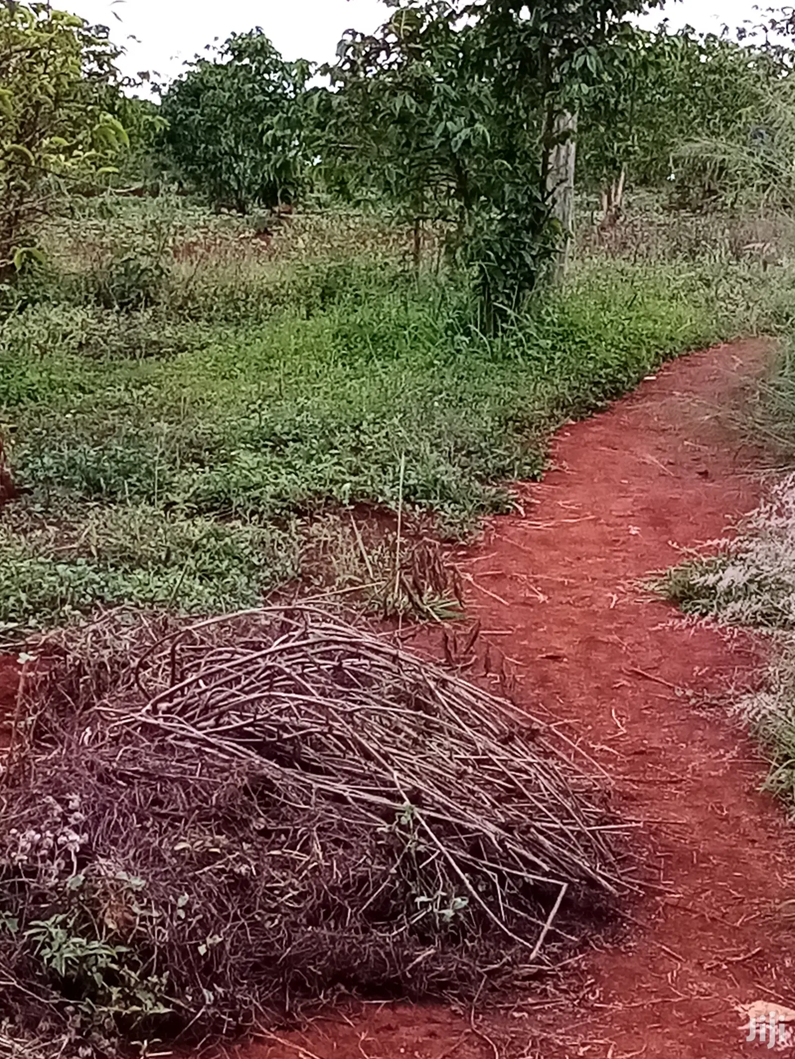Runda 10-Acre Property: Superb Roadside Location in Kiambu CBD