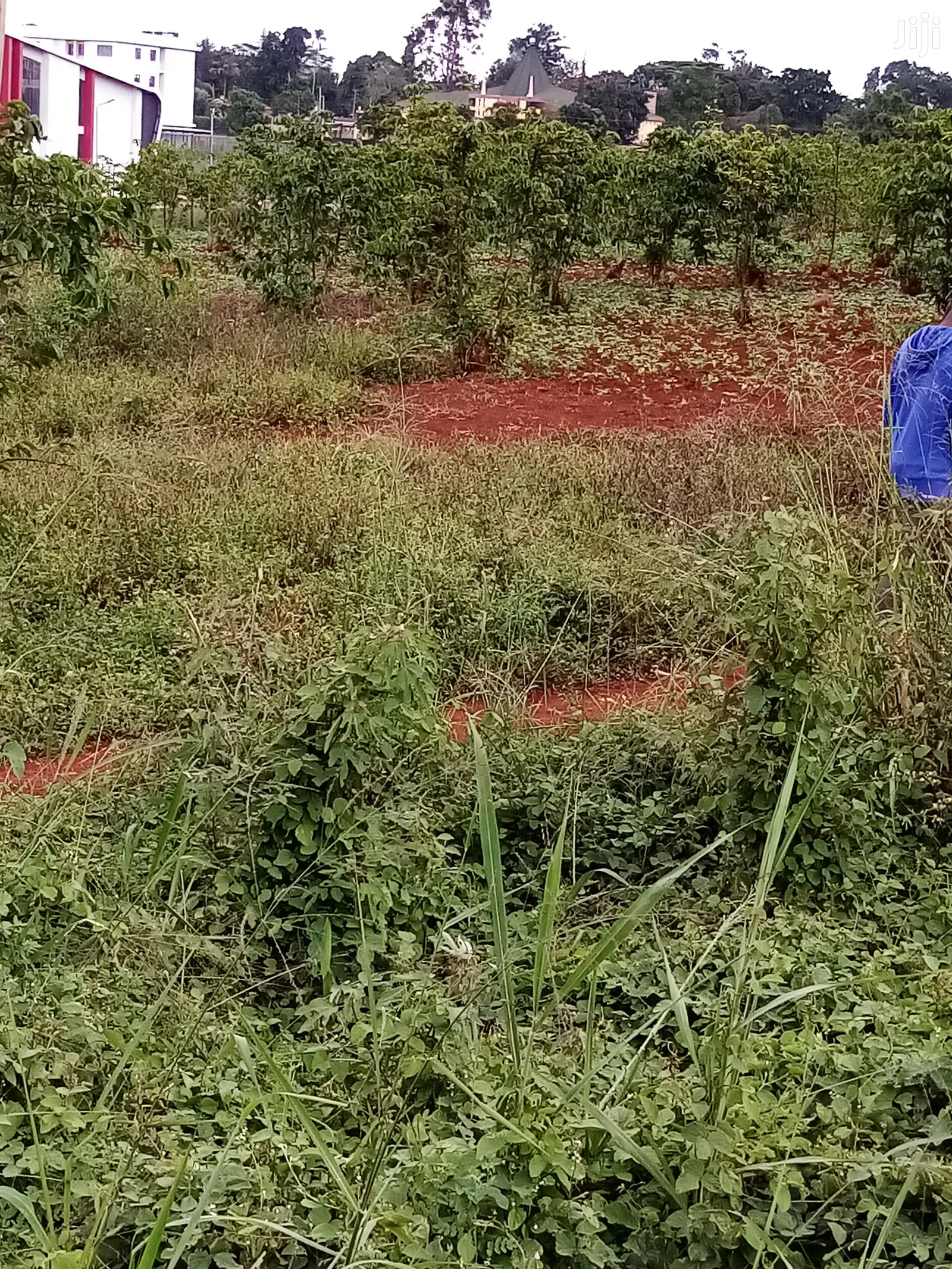 Runda 10-Acre Property: Superb Roadside Location in Kiambu CBD