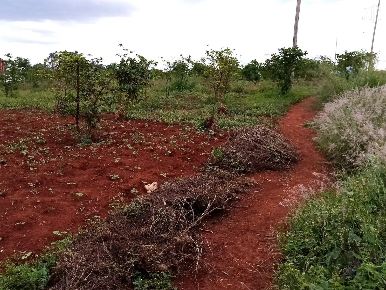 Runda 10-Acre Property: Superb Roadside Location in Kiambu CBD