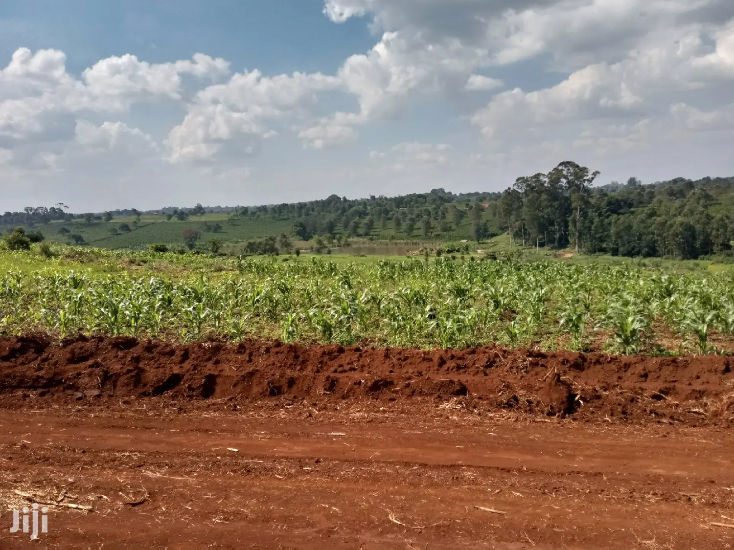 Residential Plot for Sale Matrofi Estate Tinganga in Kiambu / Kiambu