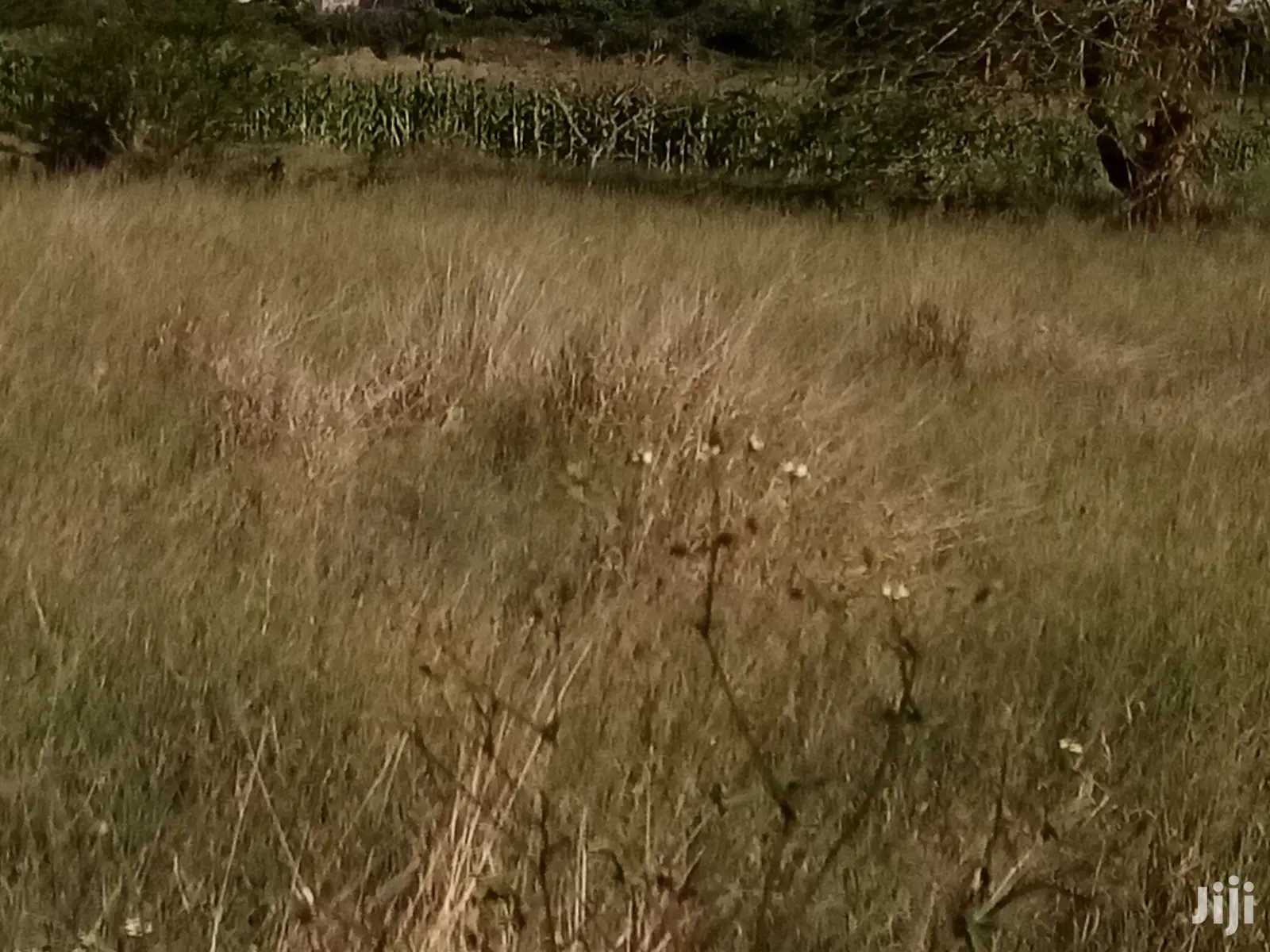 Prime Real Estate: 24 Acres of Land for Sale in a Perfect Environment in Machakos Town