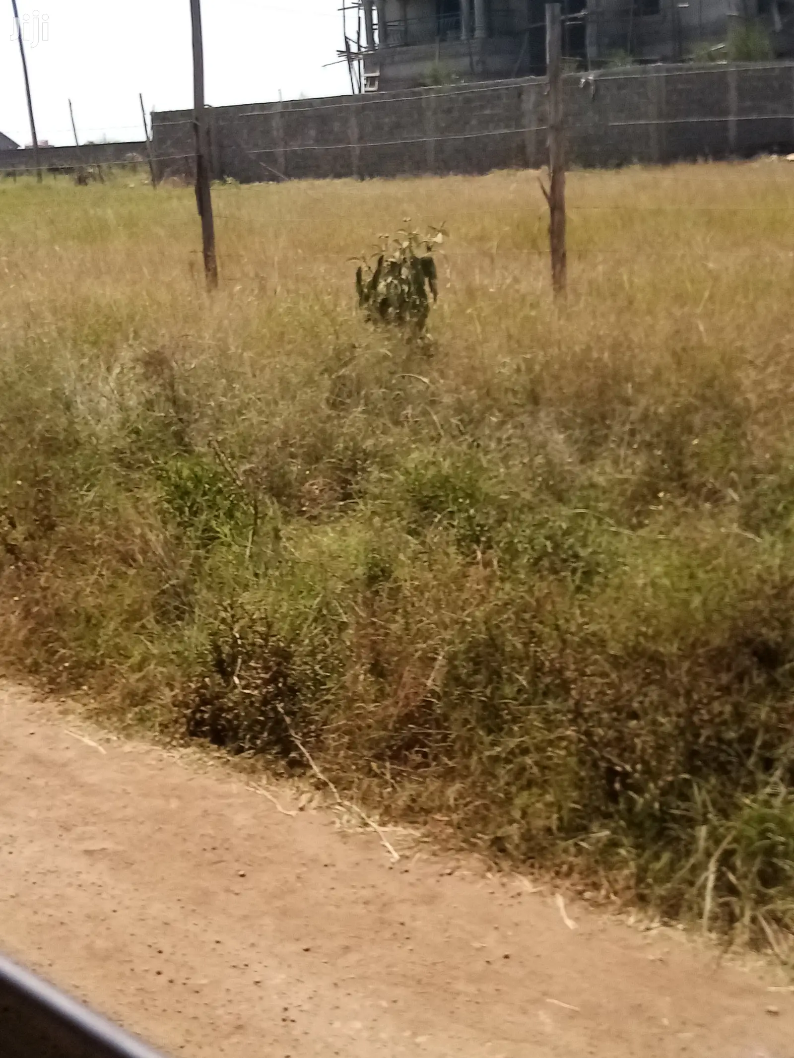 Premium Coffee Farm Land: 1/4 Acre Available for Purchase in Kahawa