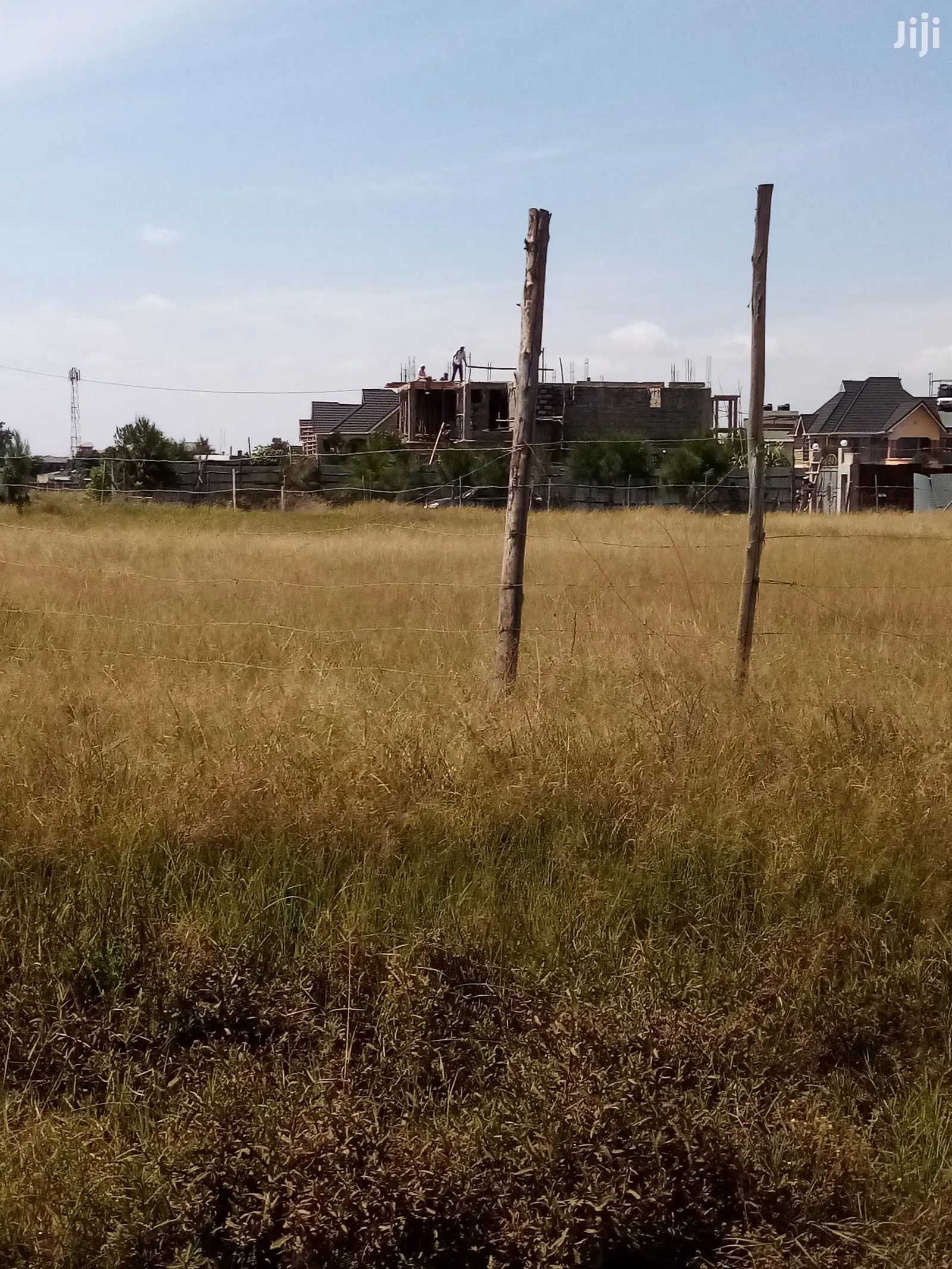 Premium Coffee Farm Land: 1/4 Acre Available for Purchase in Kahawa