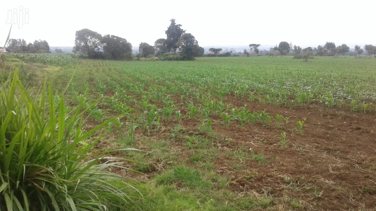 10 Acres of Land: Invest in Your Future Today with This Opportunity! in Njoro