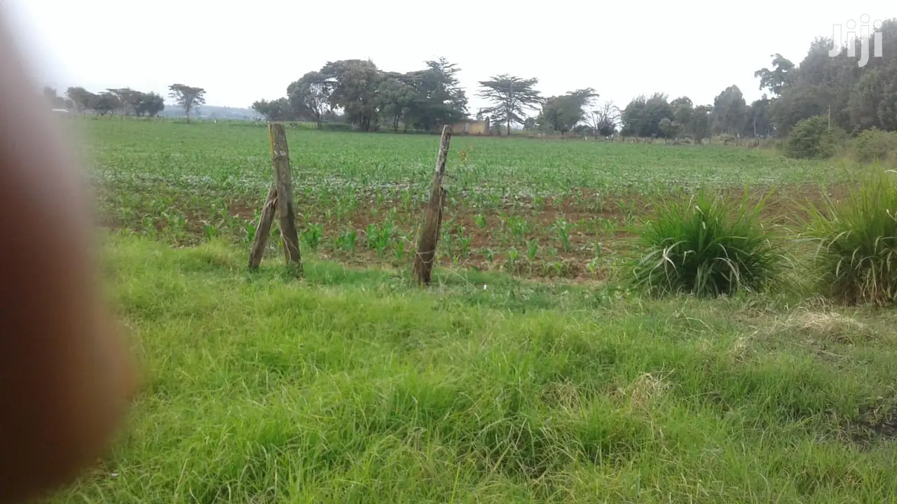 10 Acres of Land: Invest in Your Future Today with This Opportunity! in Njoro