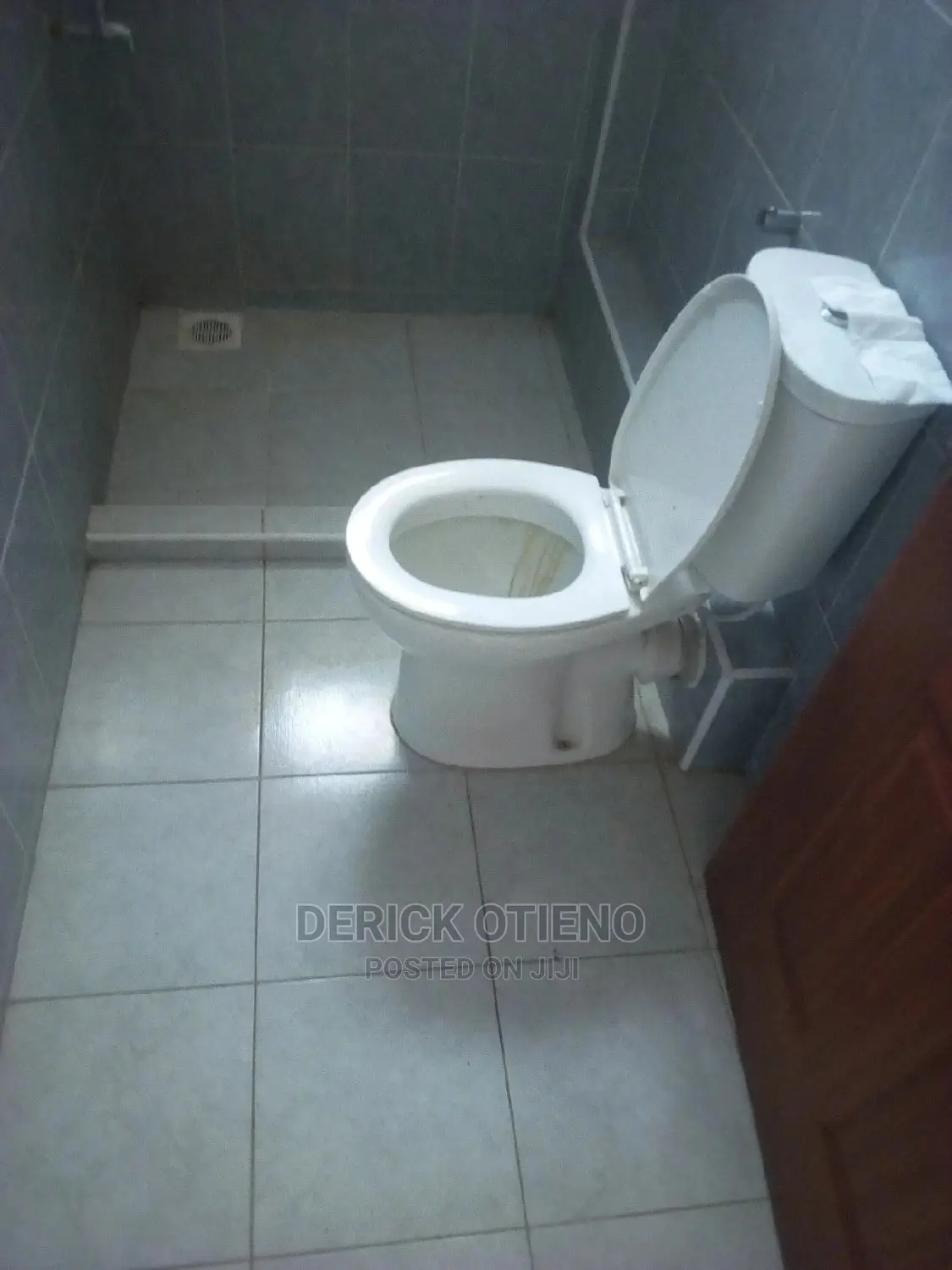 Kilimani Bedsitter: Executive Living Space Available Now in Kilimani