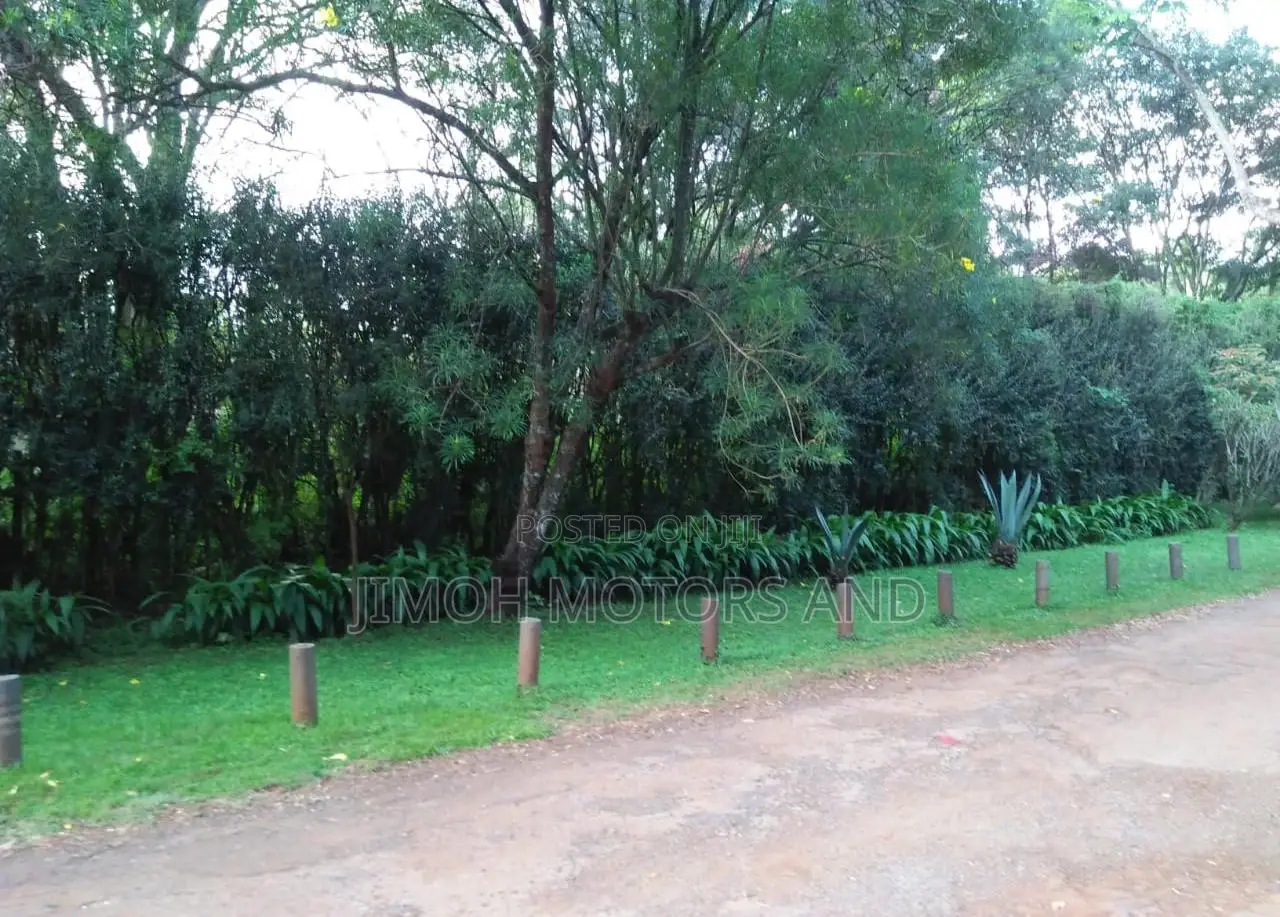 Land in Old Kitisuru - Your Chance to Invest in Real Estate! in Parklands/Highridge