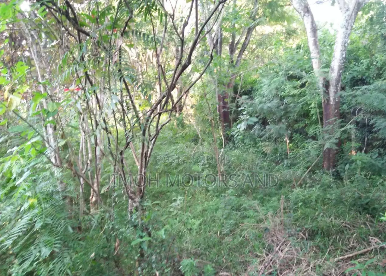 Land in Old Kitisuru - Your Chance to Invest in Real Estate! in Parklands/Highridge