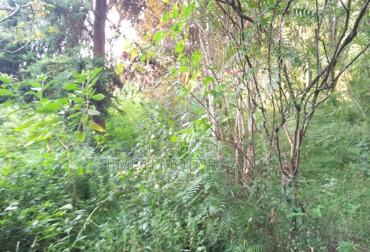 Land in Old Kitisuru - Your Chance to Invest in Real Estate! in Parklands/Highridge