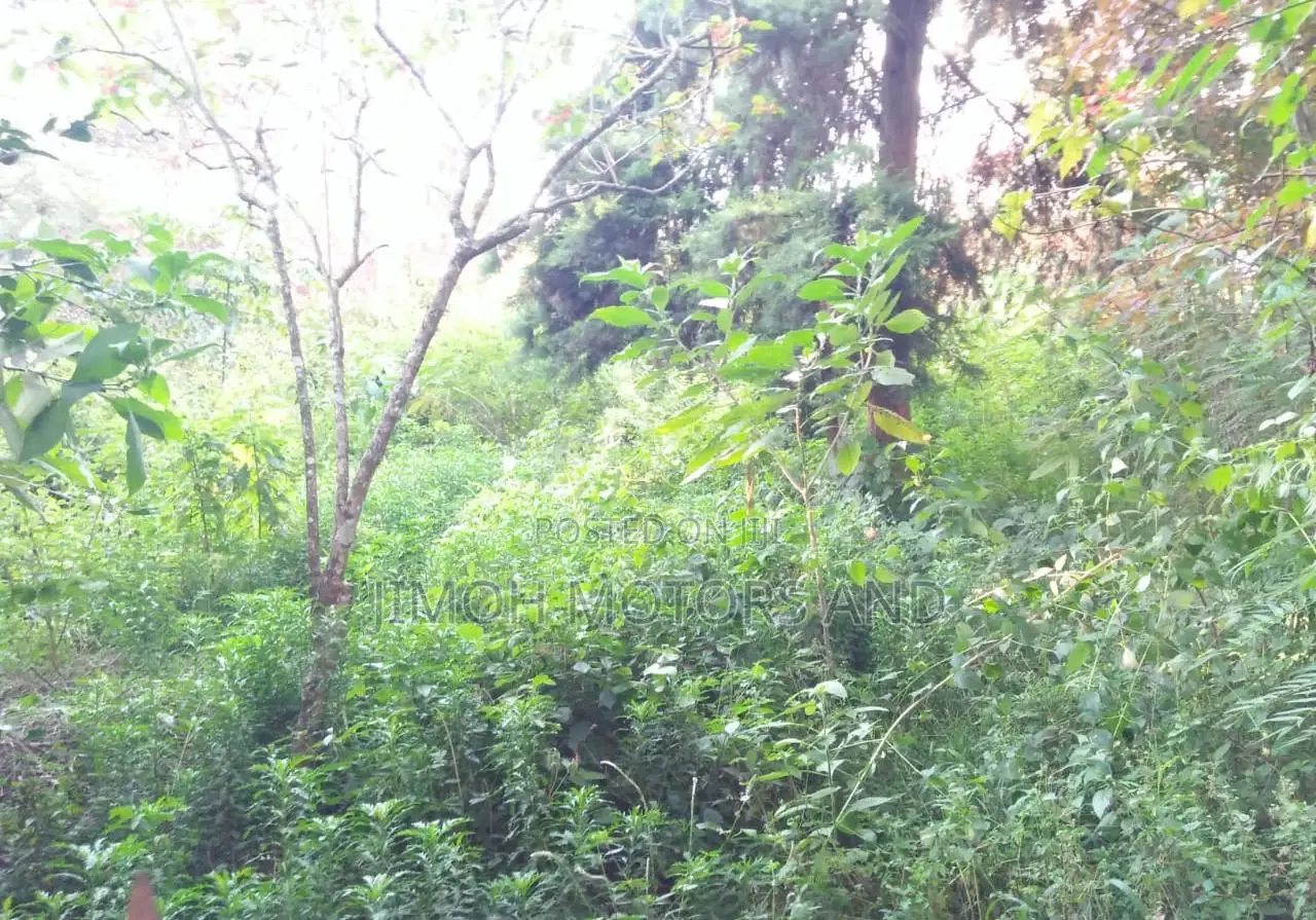 Land in Old Kitisuru - Your Chance to Invest in Real Estate! in Parklands/Highridge