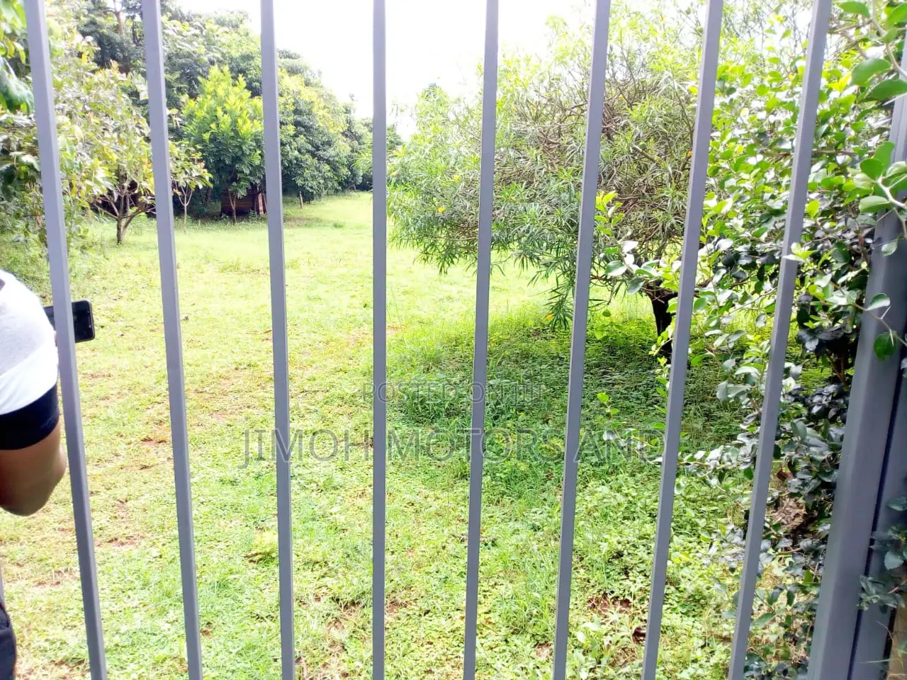 Kitisuru's Finest Land for Sale: Your Opportunity Awaits in Pangani
