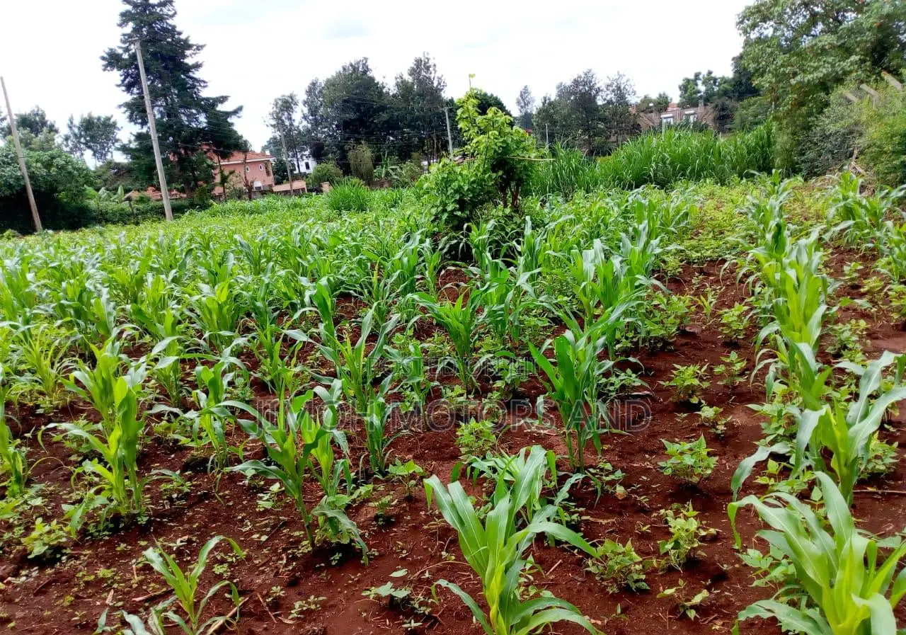 Kitisuru's Finest Land for Sale: Your Opportunity Awaits in Pangani