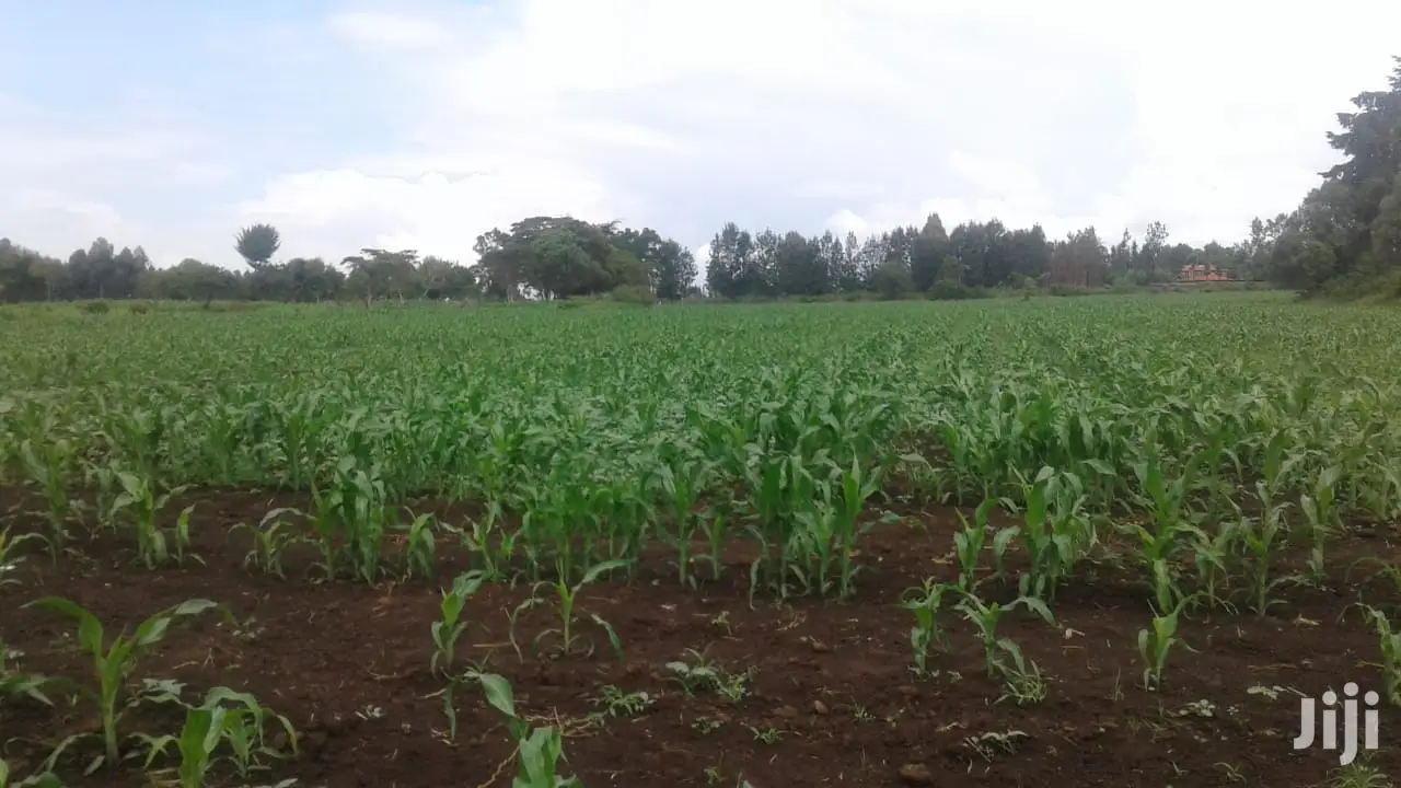 10 Acres of Land: Invest in Your Future Today with This Opportunity! in Njoro
