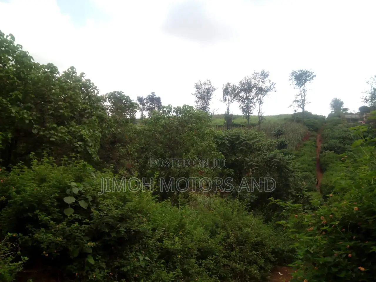 Buy Land in Kitusuru: Start Your Dream Property Journey Now in Parklands/Highridge