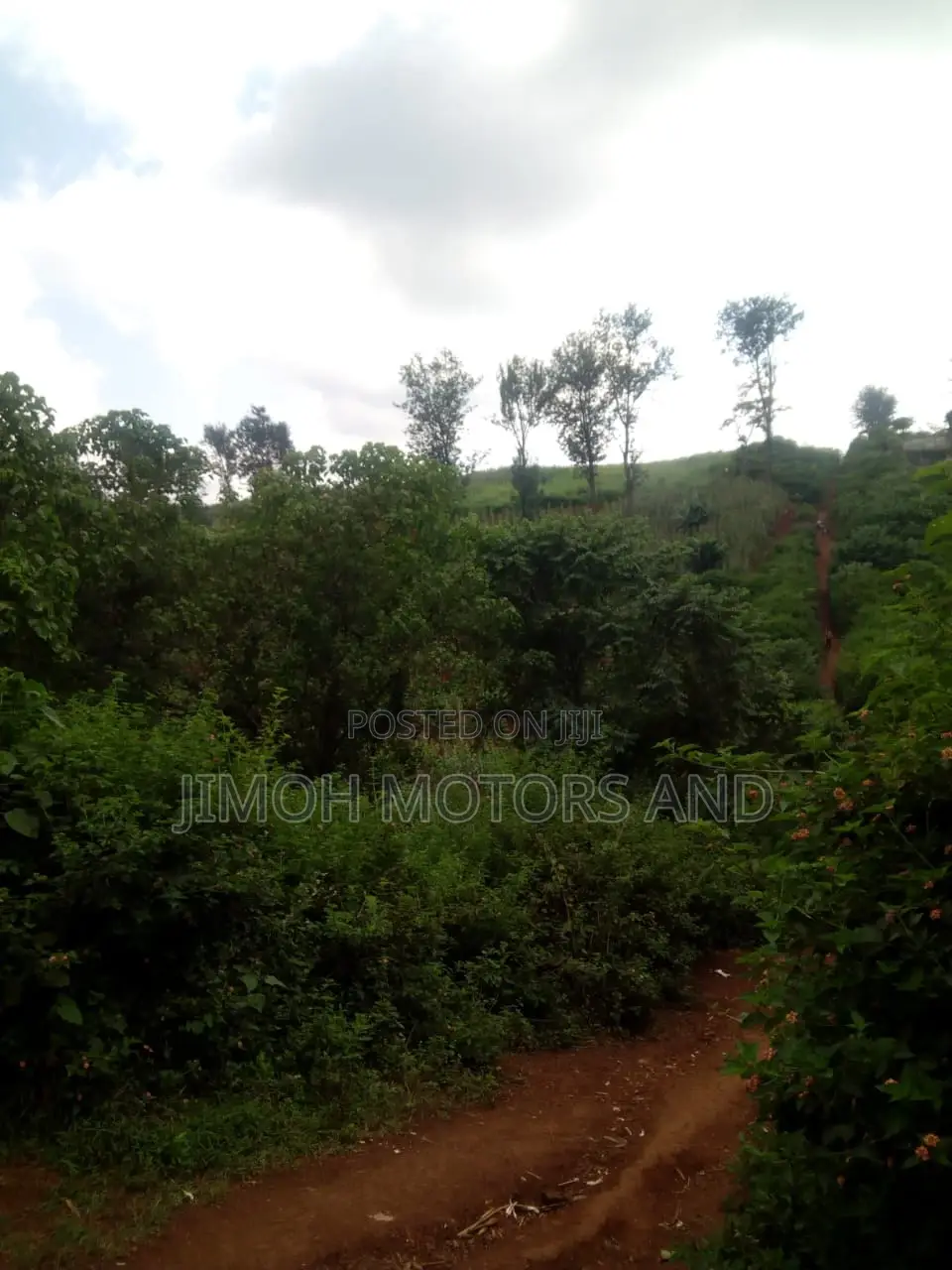Buy Land in Kitusuru: Start Your Dream Property Journey Now in Parklands/Highridge
