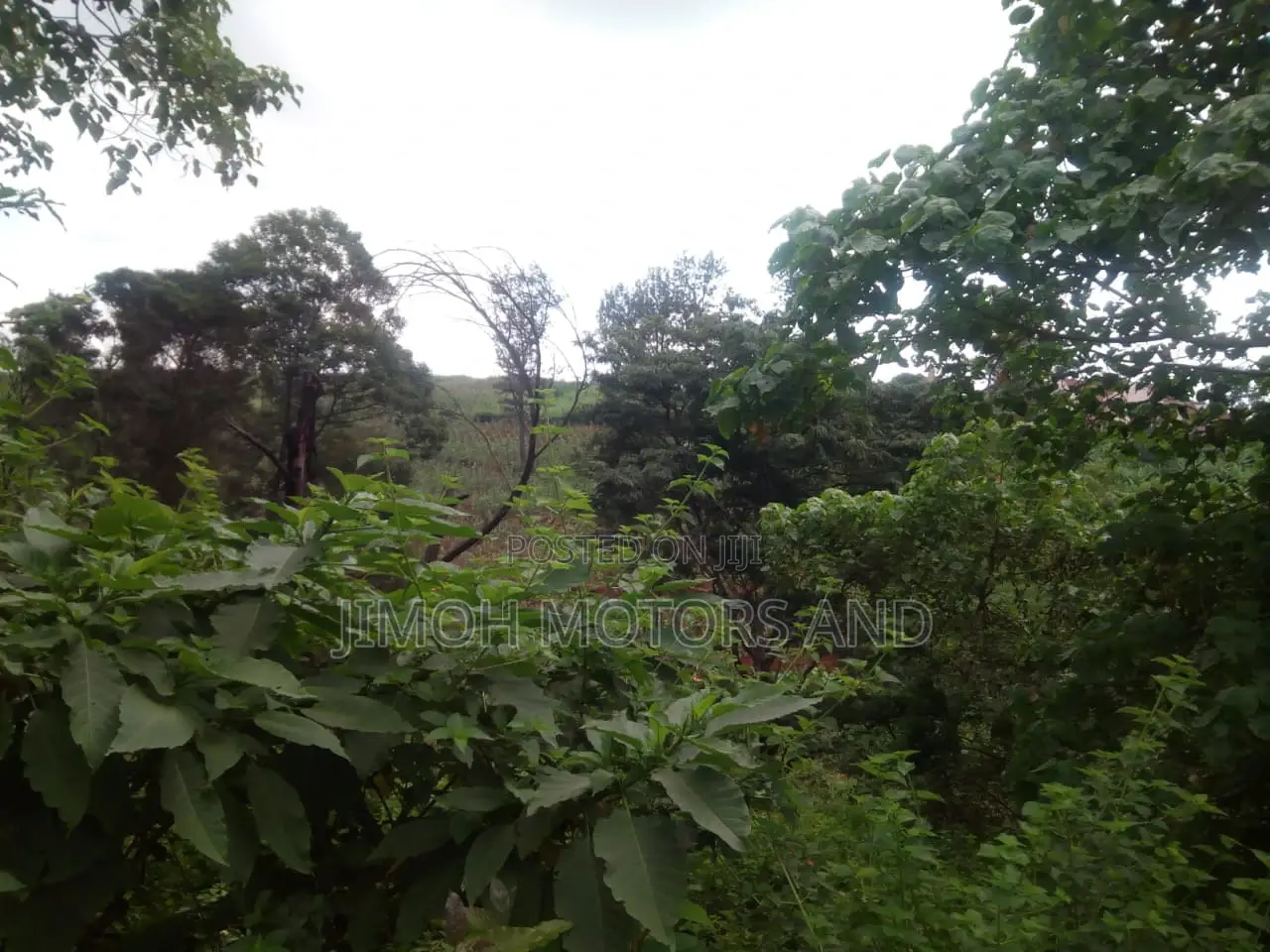 Buy Land in Kitusuru: Start Your Dream Property Journey Now in Parklands/Highridge