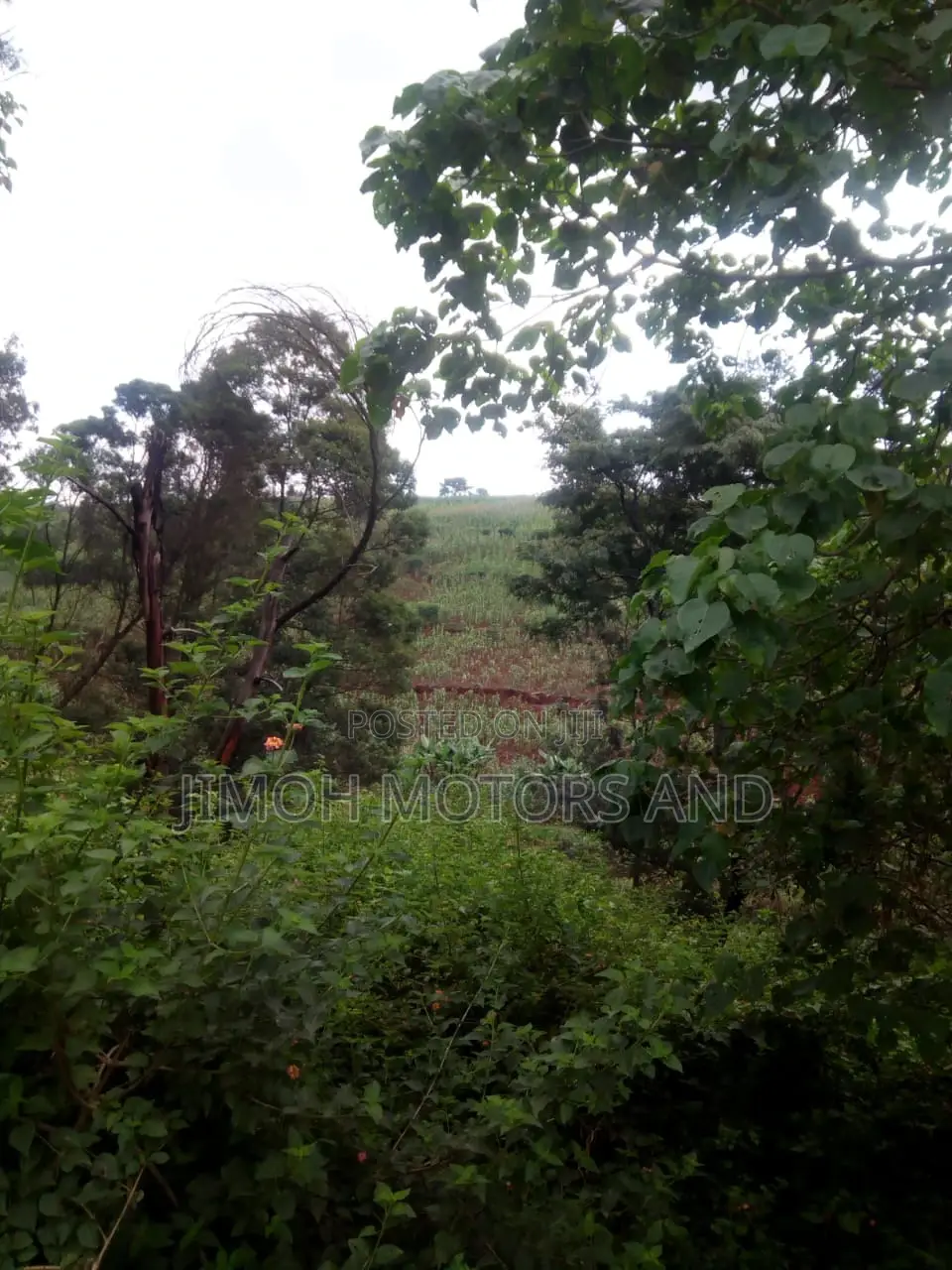 Buy Land in Kitusuru: Start Your Dream Property Journey Now in Parklands/Highridge