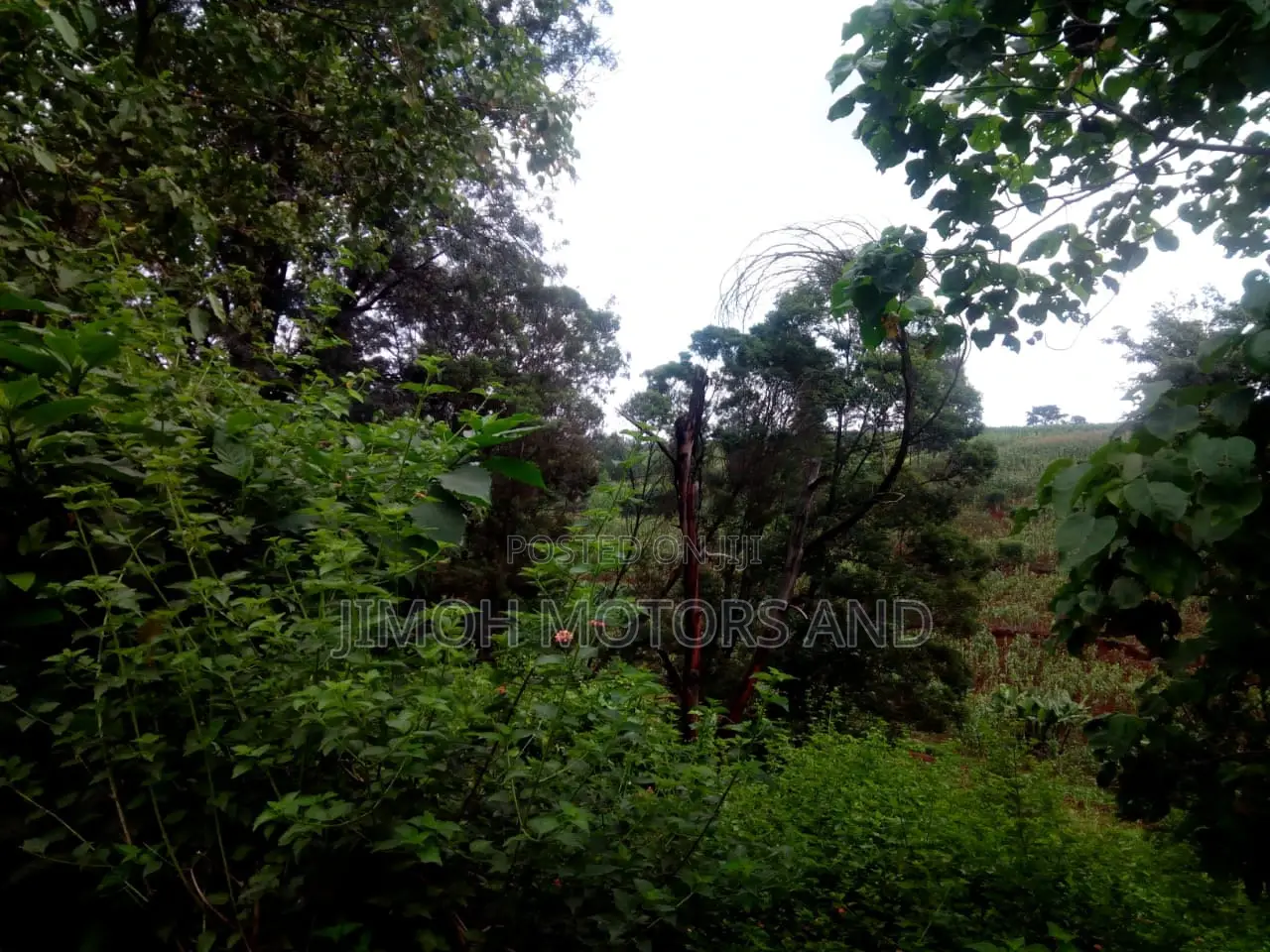 Buy Land in Kitusuru: Start Your Dream Property Journey Now in Parklands/Highridge